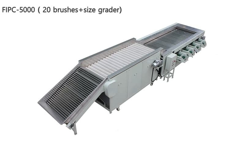 images/1657699553478potato grading equipment.jpg